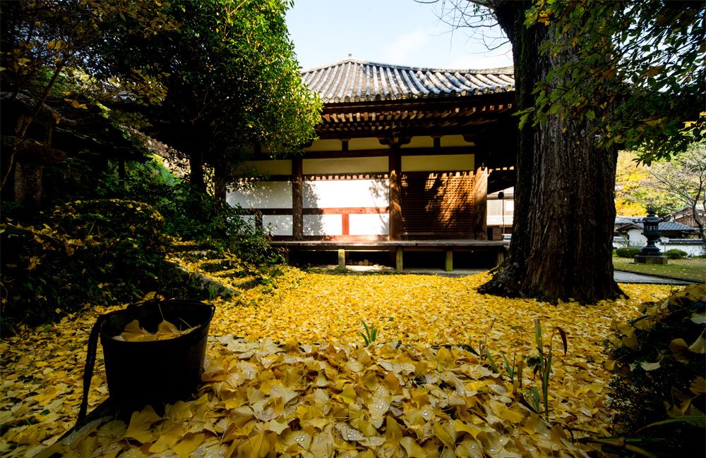 神童寺
