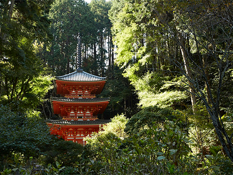 岩船寺