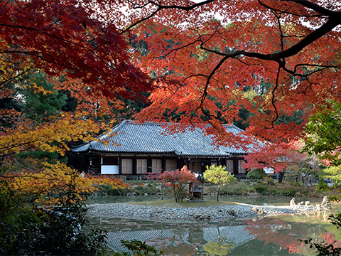 浄瑠璃寺