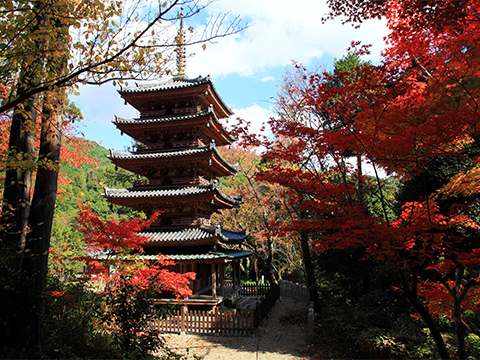 海住山寺