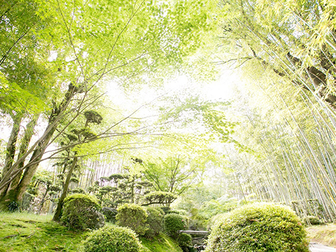 松花堂庭園・美術館