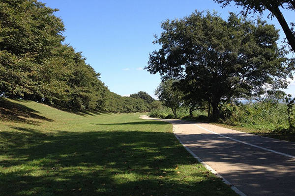 淀川河川公園 背割堤地区