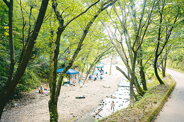 山城町森林公園