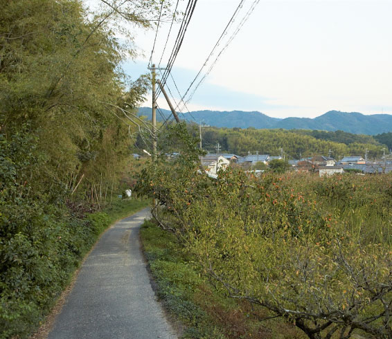 城陽市町並み1