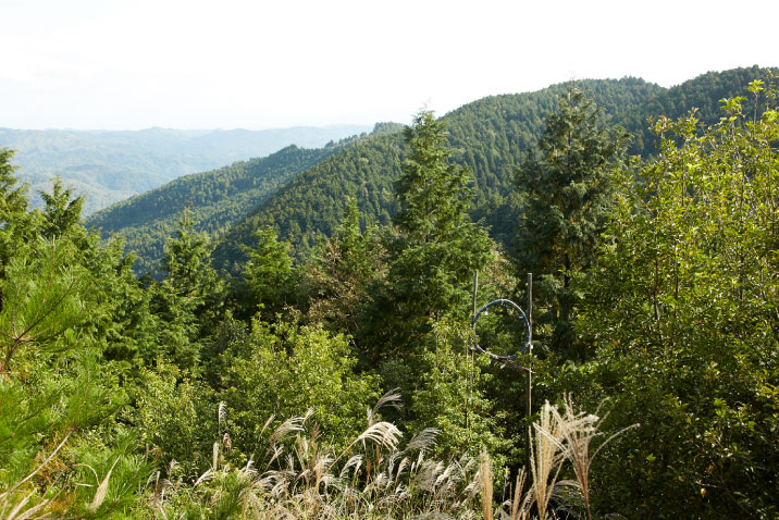 鷲峰山金胎寺