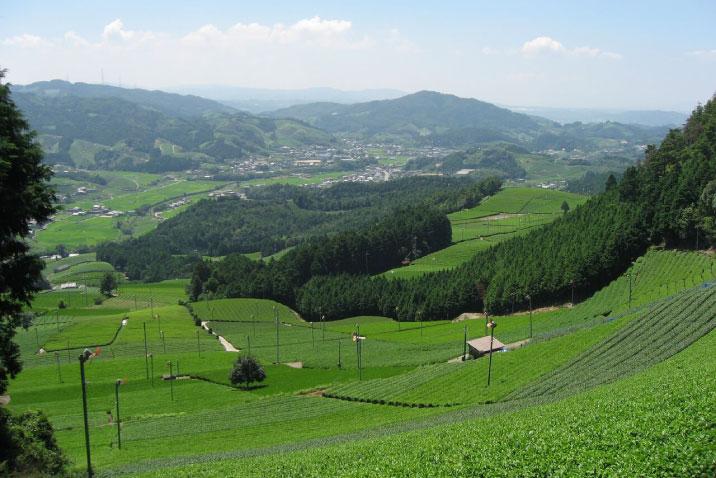 鷲峰山金胎寺