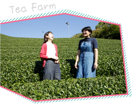 tea farm