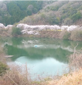 高山ダム