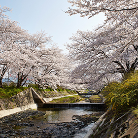 玉川