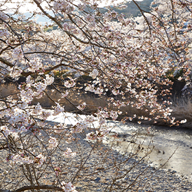 祝橋