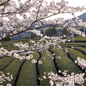 石寺