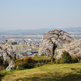 地蔵禅院