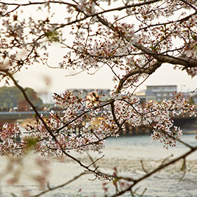 宇治川