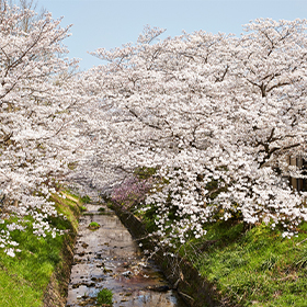 馬坂川