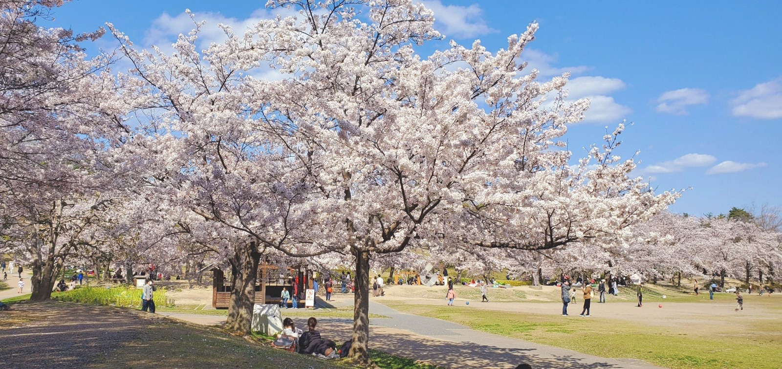 けいはんな記念公園