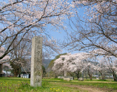 恭仁宮跡