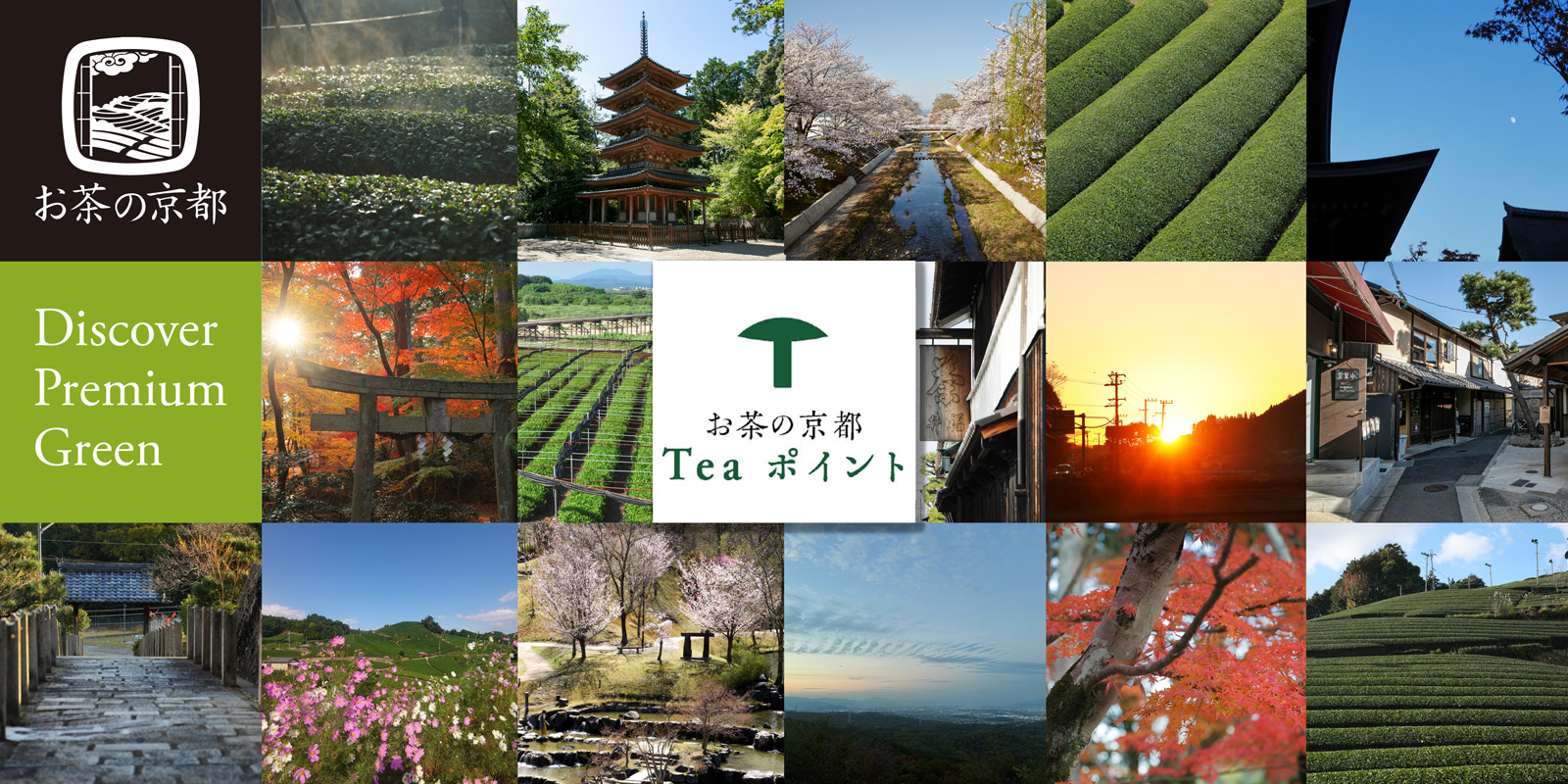 お茶の京都Teaポイント