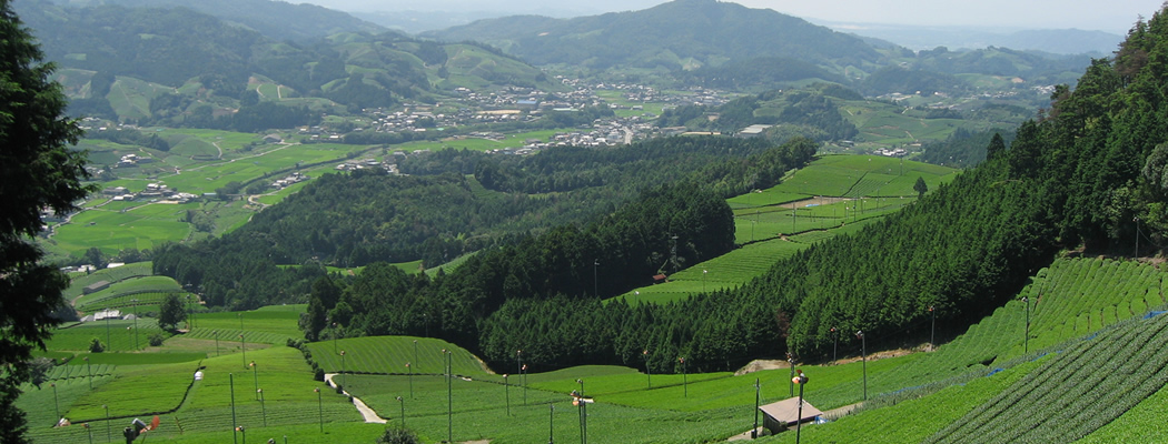 和束町