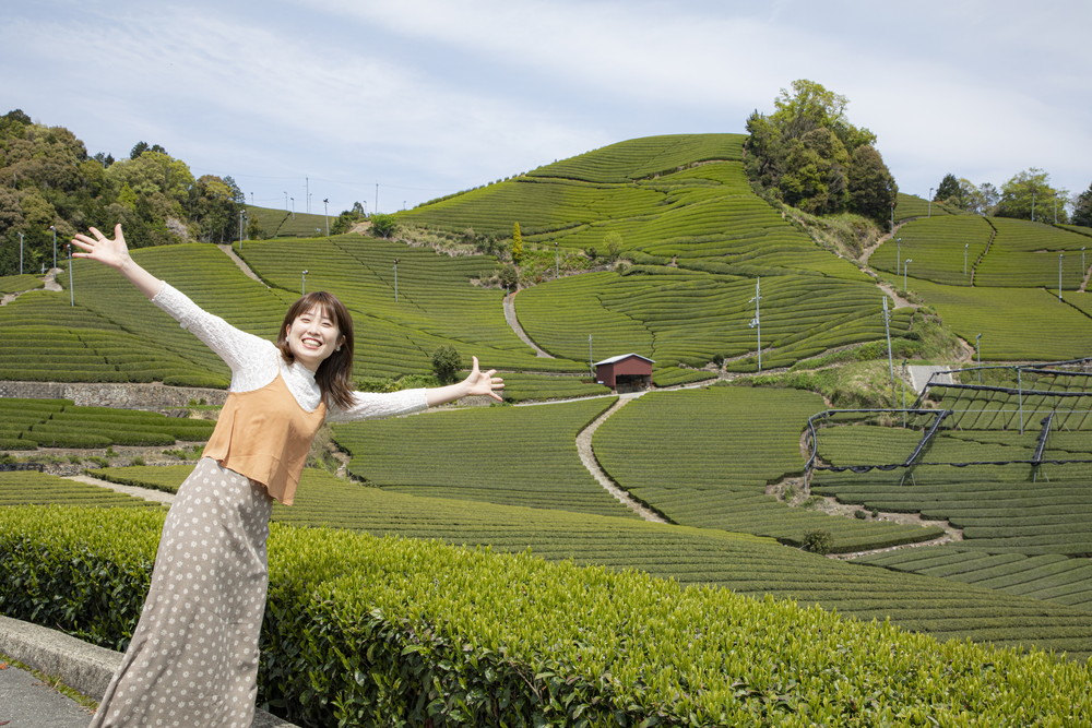 【ドライブ旅】南山城～和束～木津川ルート〈お茶づくしの旅〉