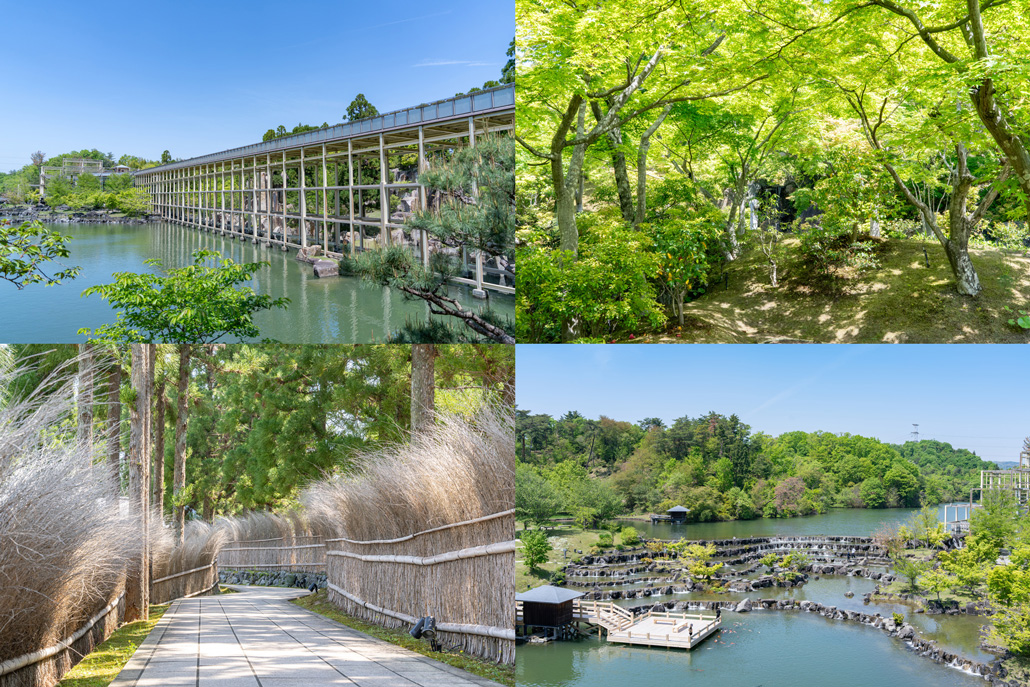 【精華町】けいはんな記念公園へおでかけしよう！「けいはんな万博2025」や秋の「せいか祭り」もぜひ楽しんで