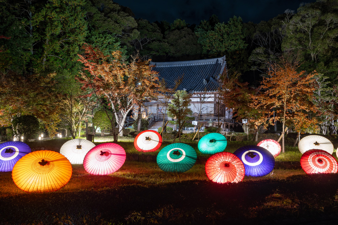 【京田辺市】心温まる普賢寺地域を満喫♪　大御堂観音寺ライトアップと農産物直売所をご紹介！