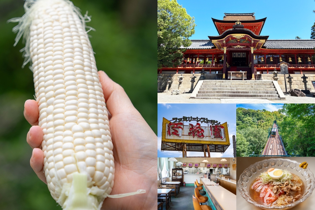 【ホワイトコーン】旬の美味しさを満喫！『国宝』のロケ地となったレストランや、石清水八幡宮も訪れる日帰り旅