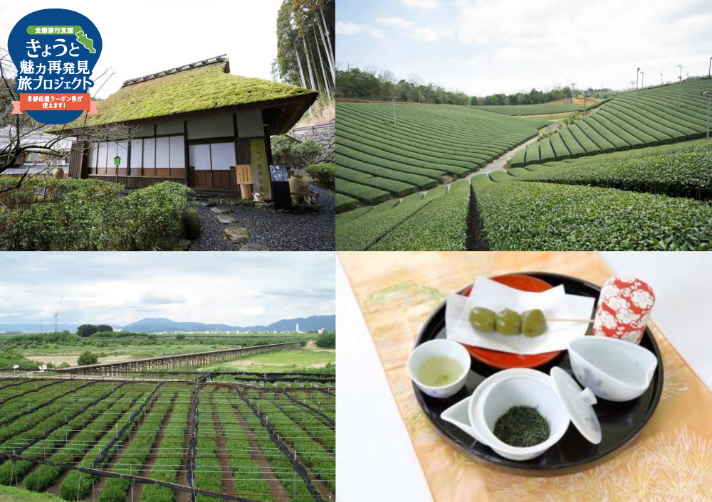 全国旅行支援「きょうと魅力再発見旅プロジェクト」を利用して、お茶の京都エリアへお越しください！