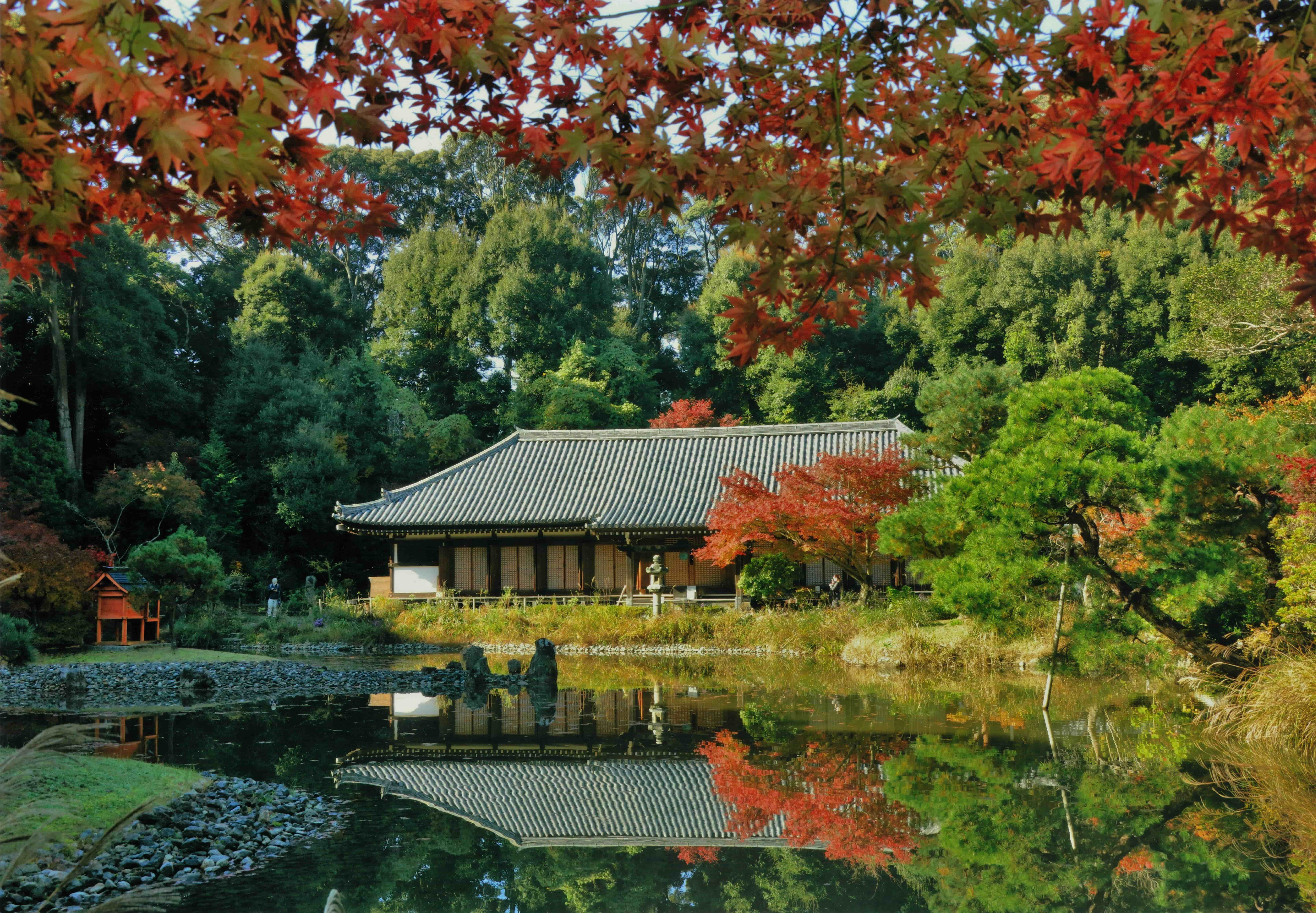 ◆浄瑠璃寺