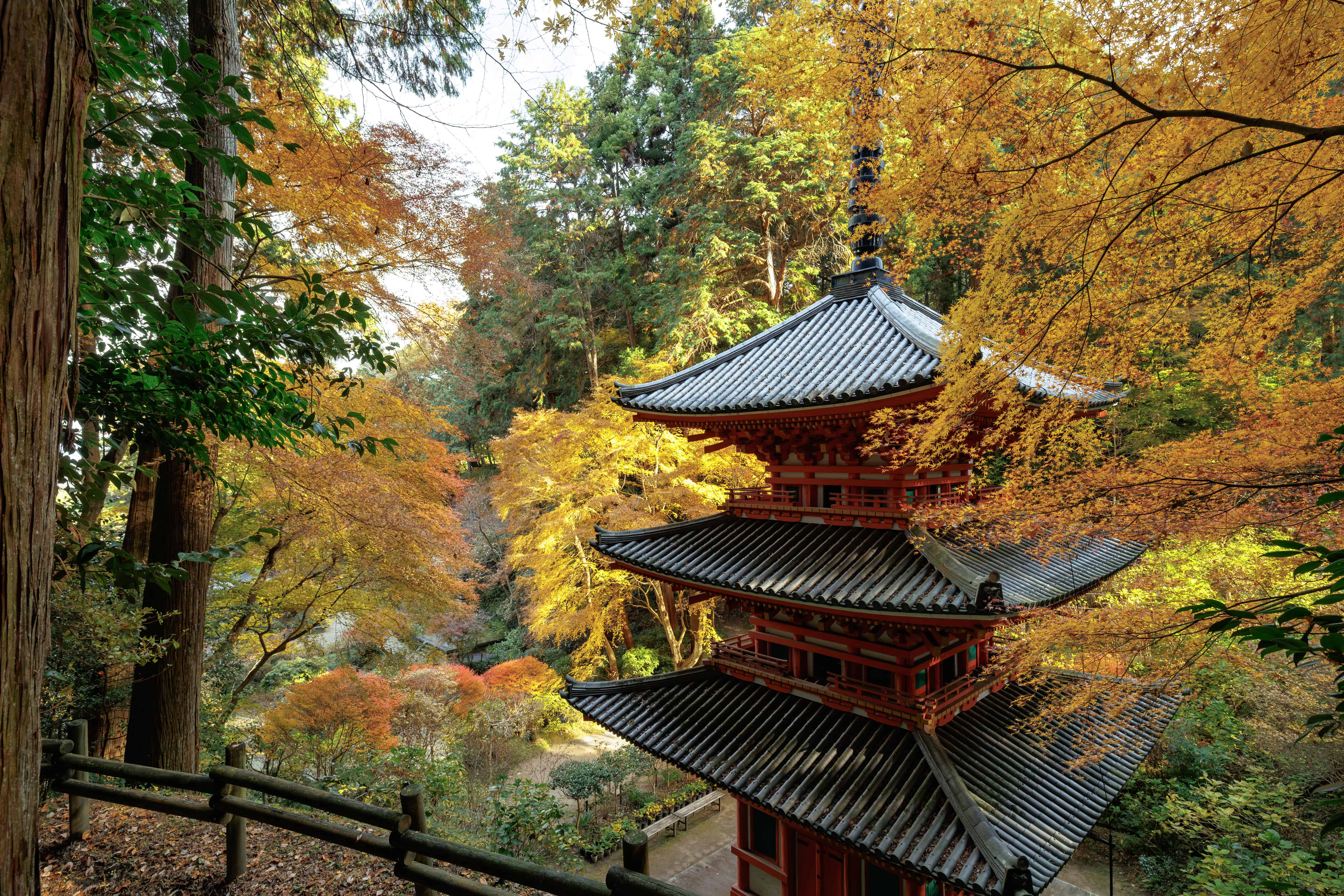 ◆岩船寺
