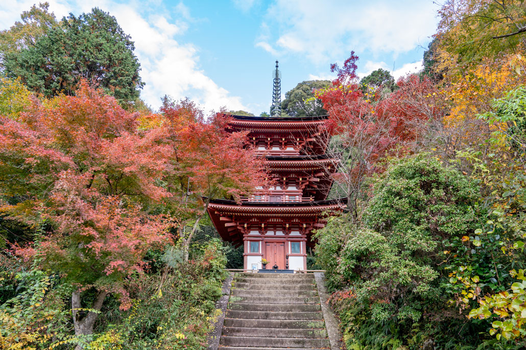 木津川市で古寺に親しむ