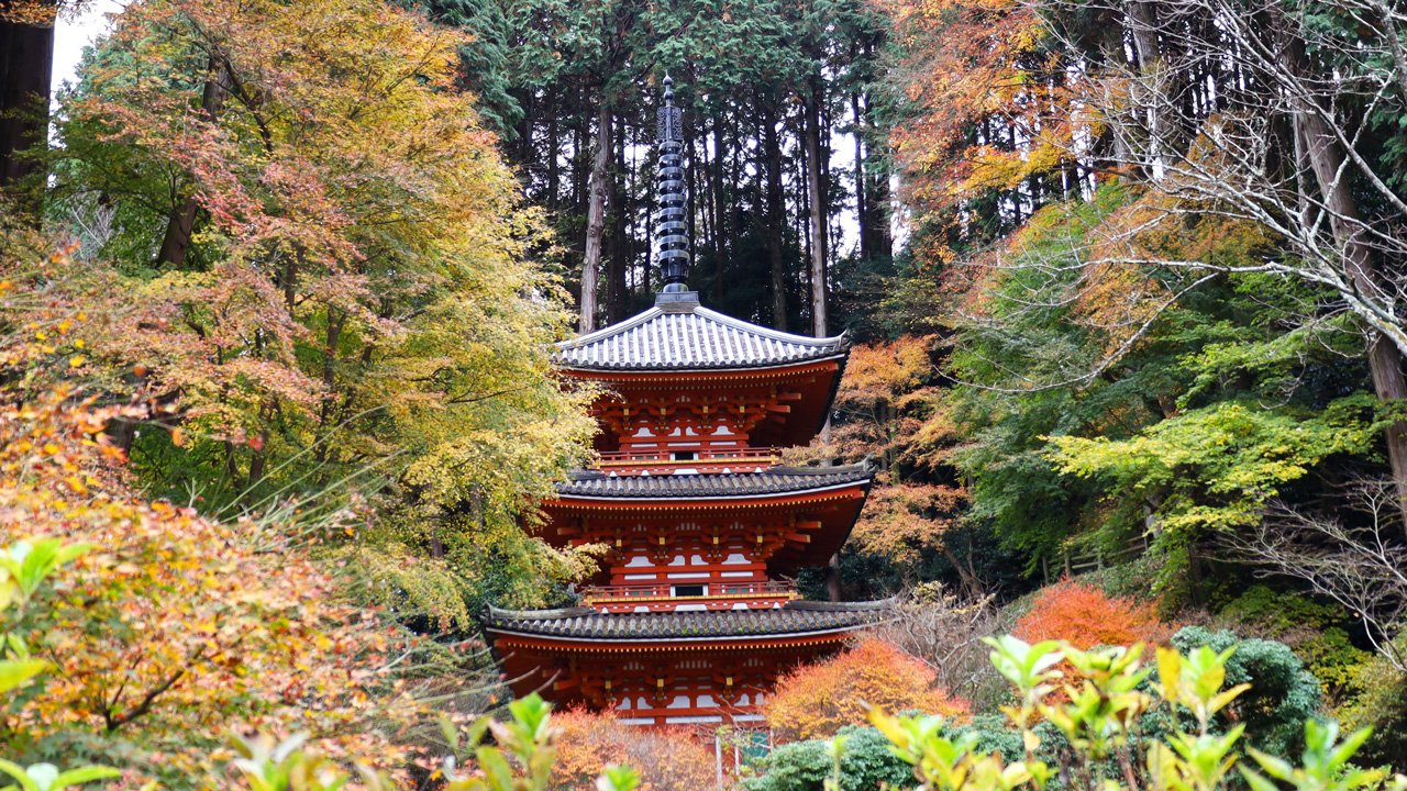 　木津川市秋の秘宝秘仏特別公開