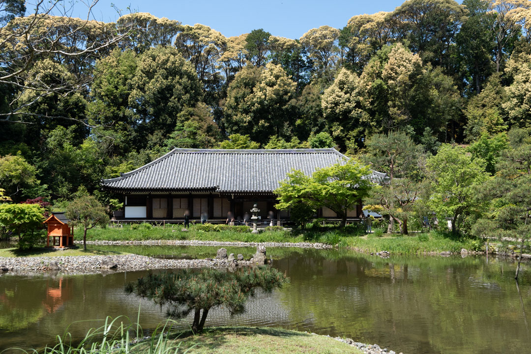 浄瑠璃寺にもぜひ訪れたい！