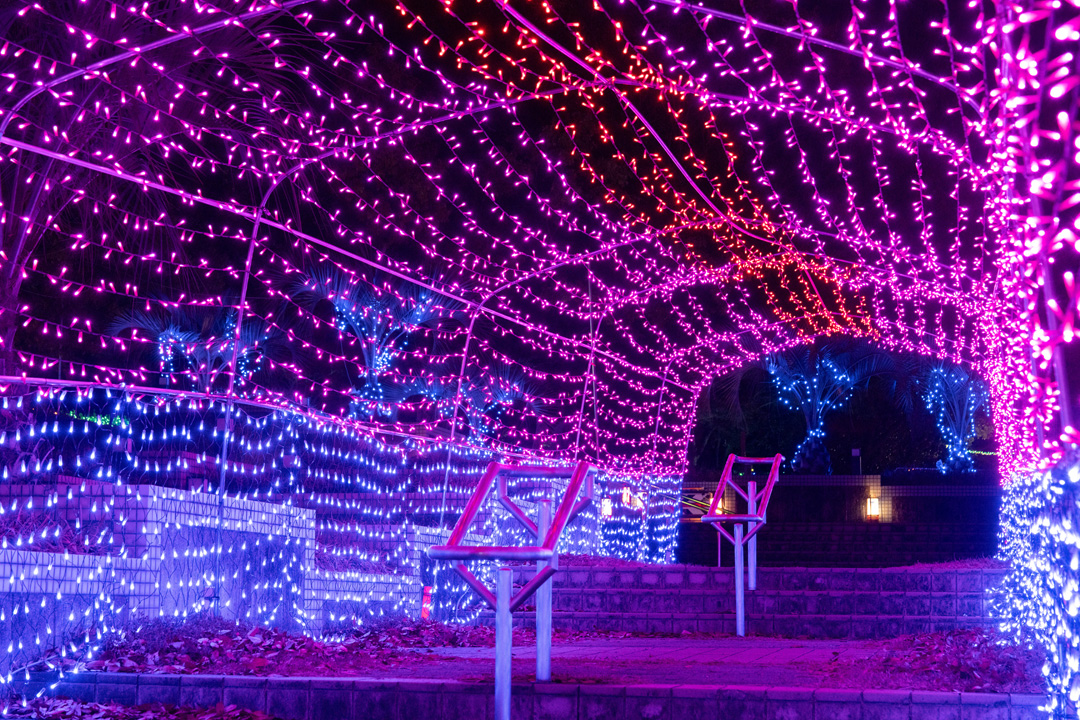 恐竜や古代を感じるイルミネーション!