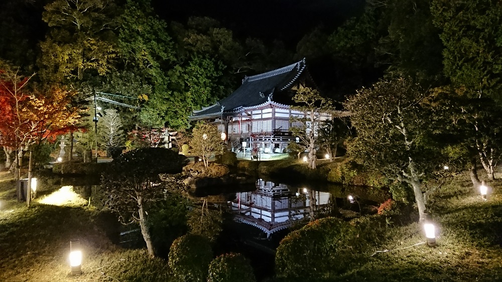 大御堂観音寺　ライトアップ