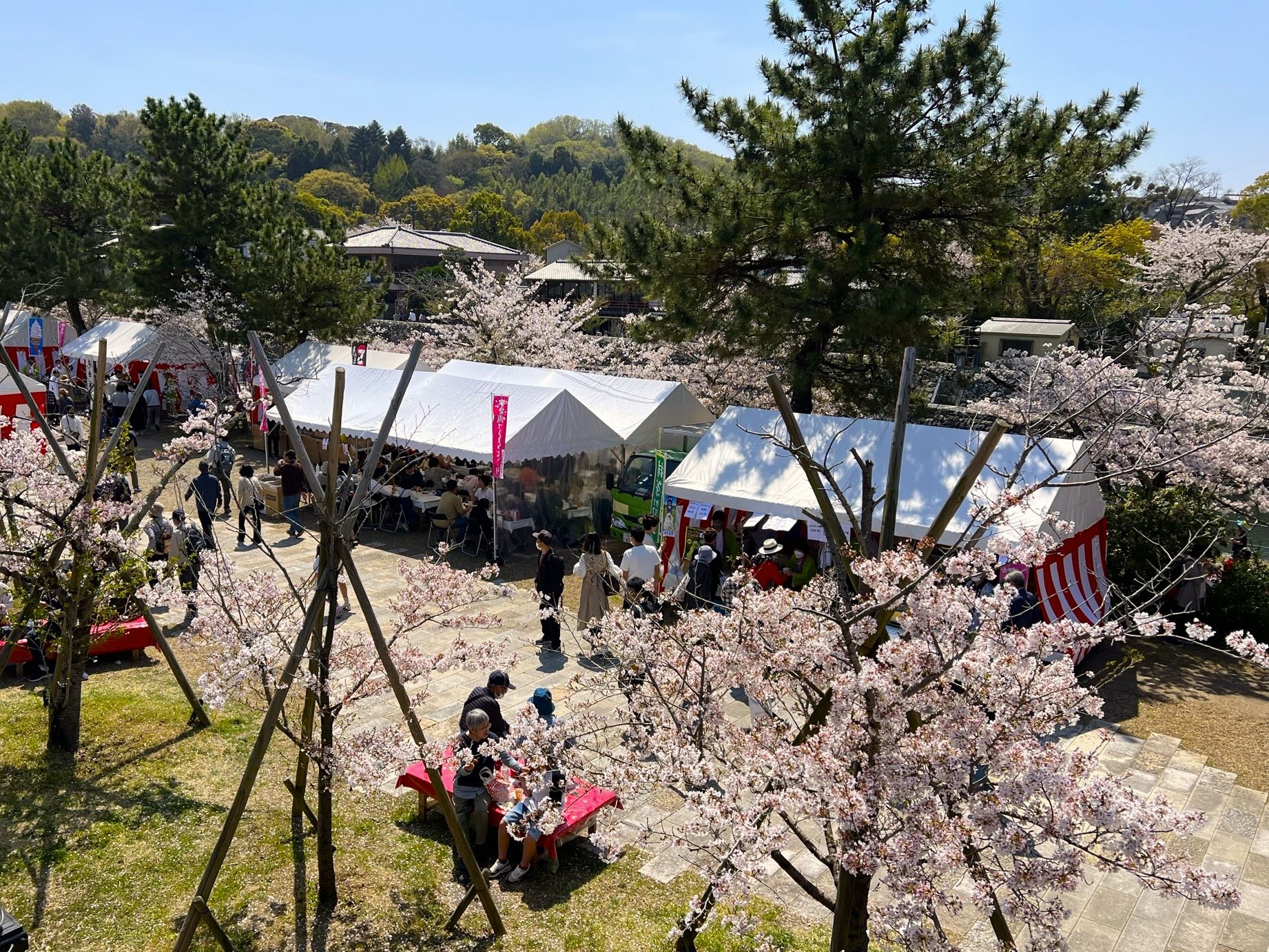 第48回宇治川さくらまつり