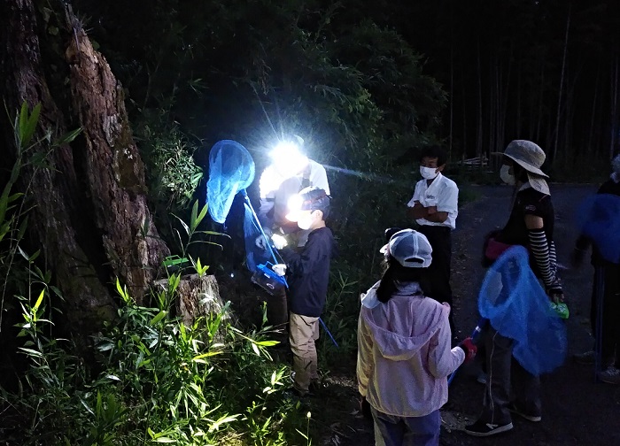 虫捕り名人と行く 昆虫採集ナイトツアー2022開催！！