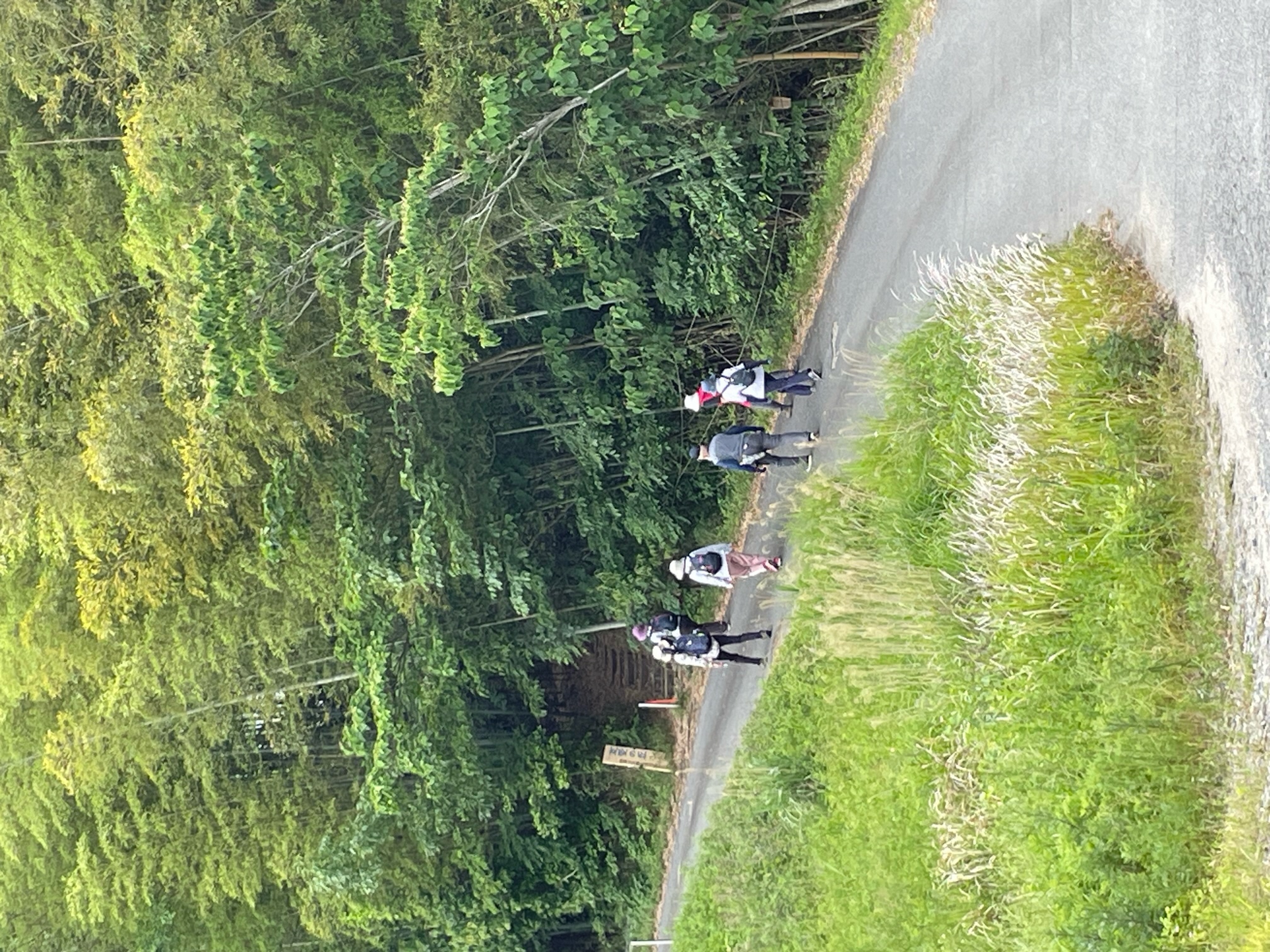 第29回山背古道 とことんウォーキング
