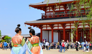 幻の都「恭仁宮-KUNIKYU-」Wabisabi Experience