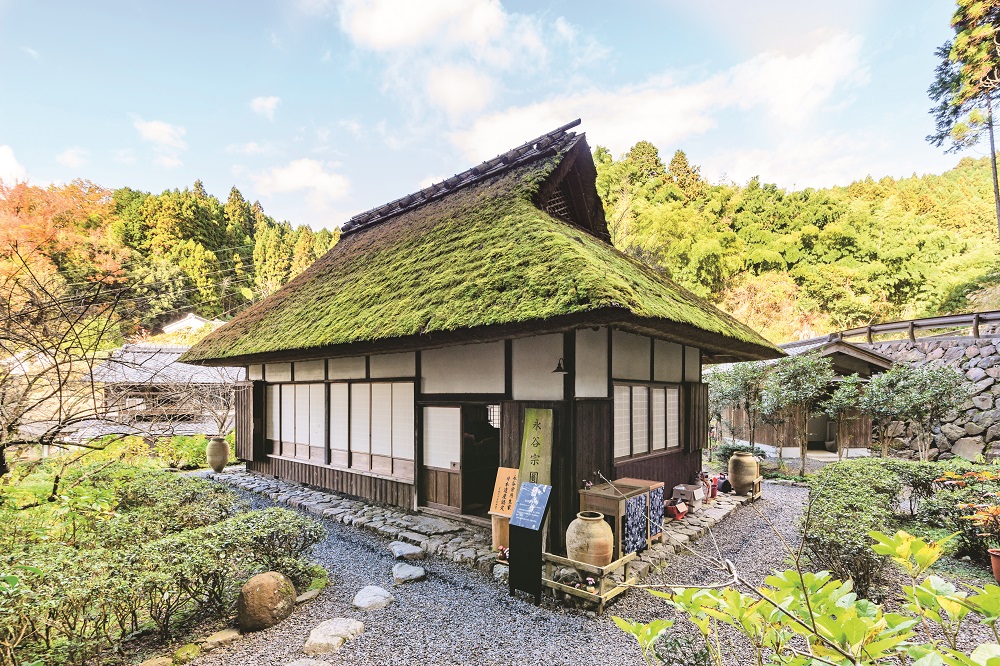 お茶のふるさと湯屋谷さんぽ