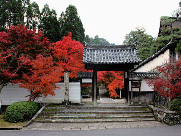 紅葉の名所としても知られる