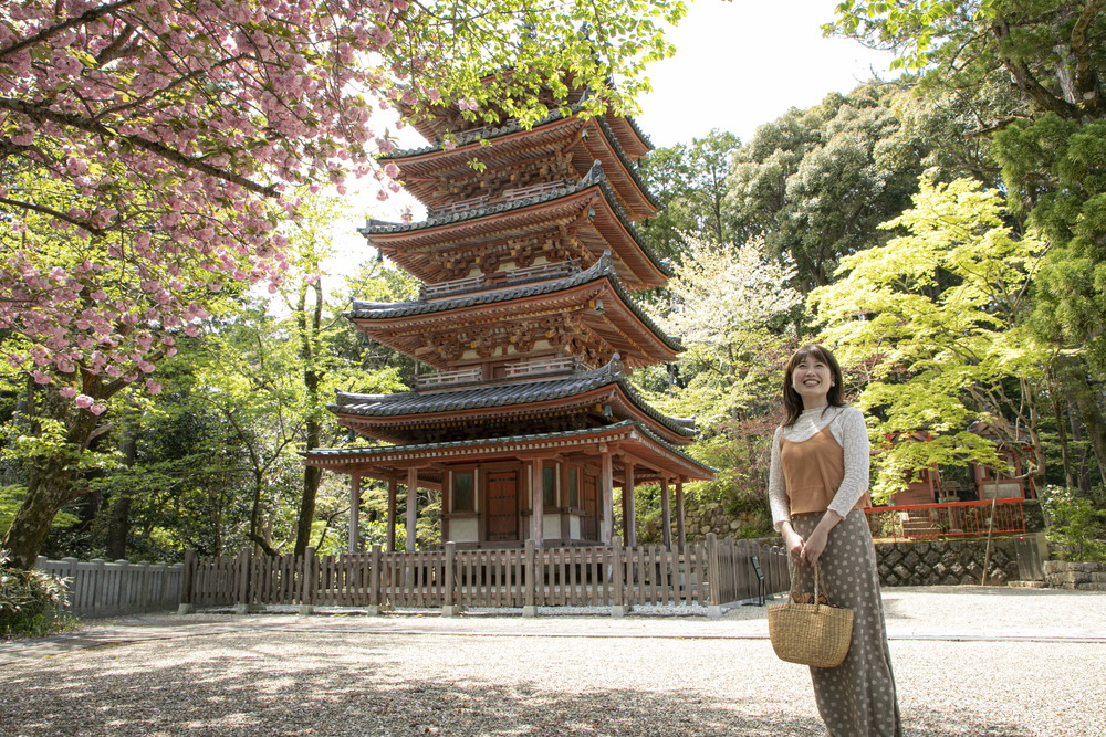 お茶にゆかりのある静かな佇まいの山寺へ