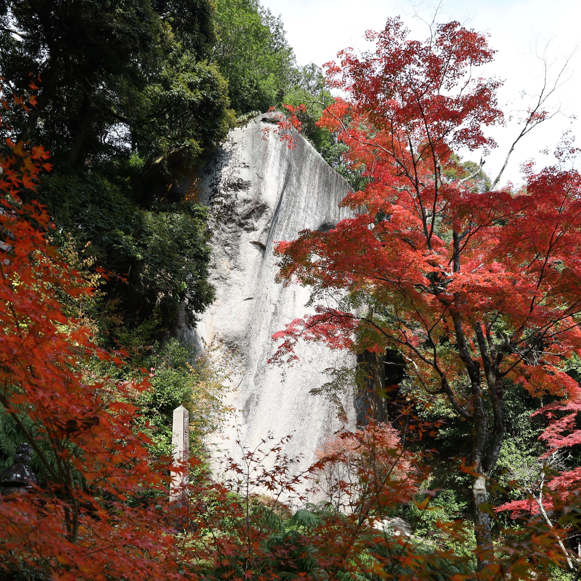 笠置寺・笠置山自然公園