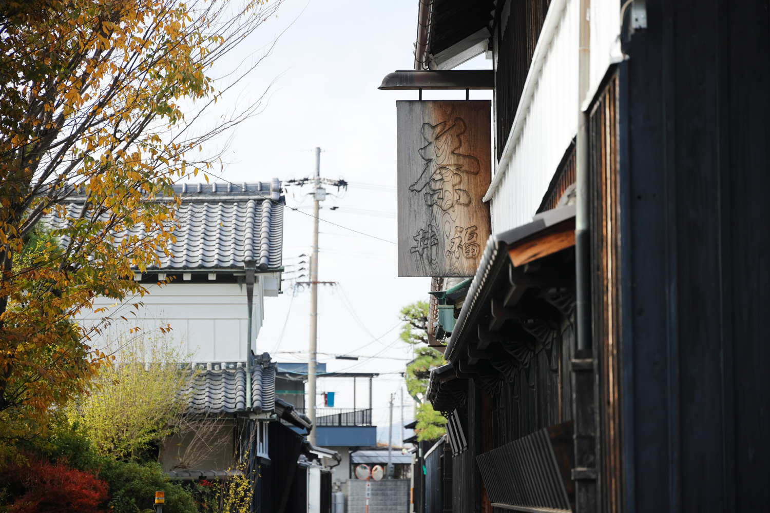 茶商こだわりのお茶を茶問屋で！