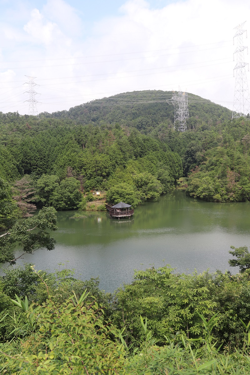 上空から見ると何かに見える？池に架かる橋は？