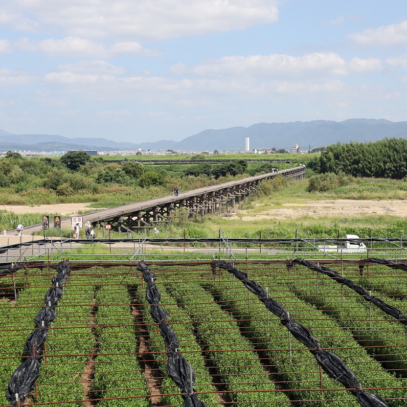 木津川の流れとともに