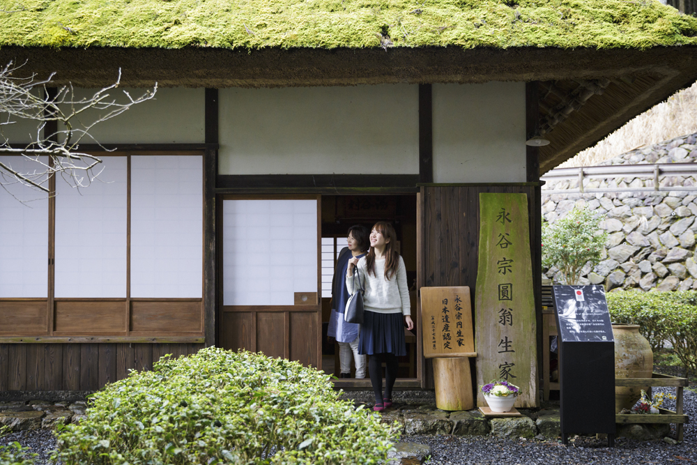 歴史を伝える趣深い茅葺の建物で煎茶誕生を知る