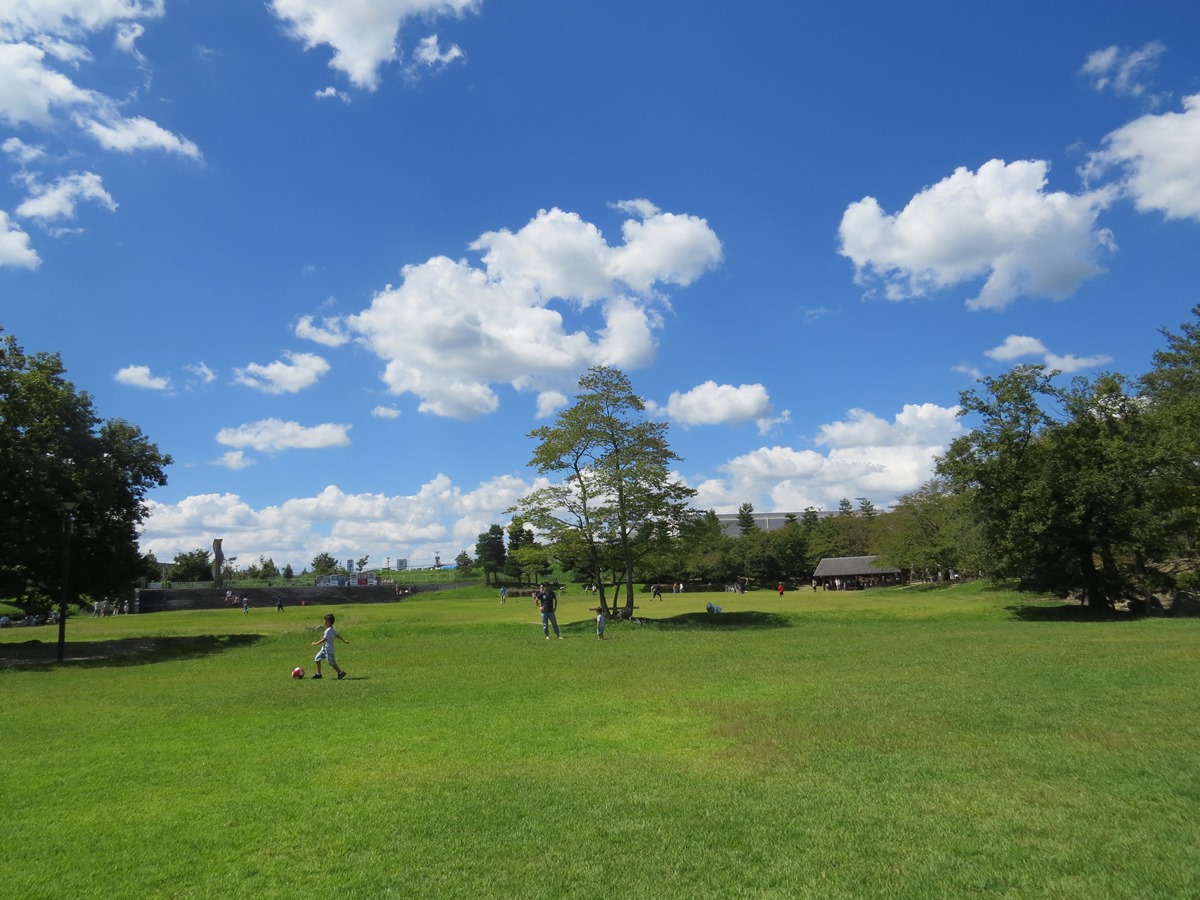 緑あふれる公園で休憩