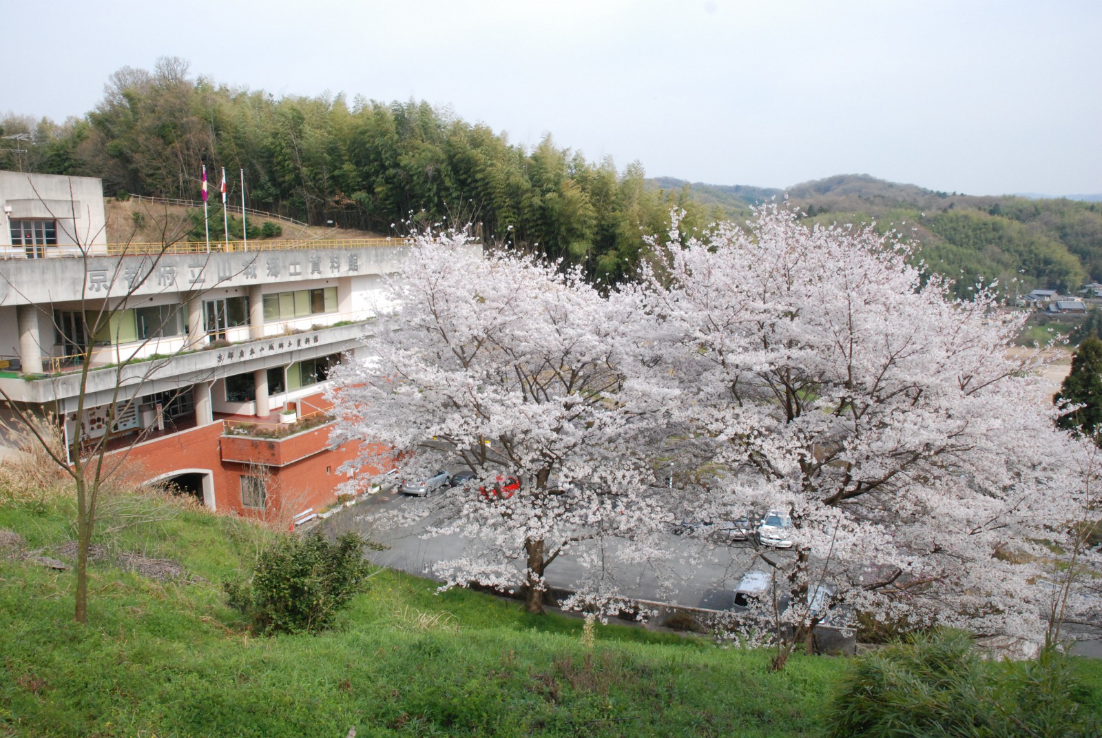 縄文時代からの貴重な資料を見学