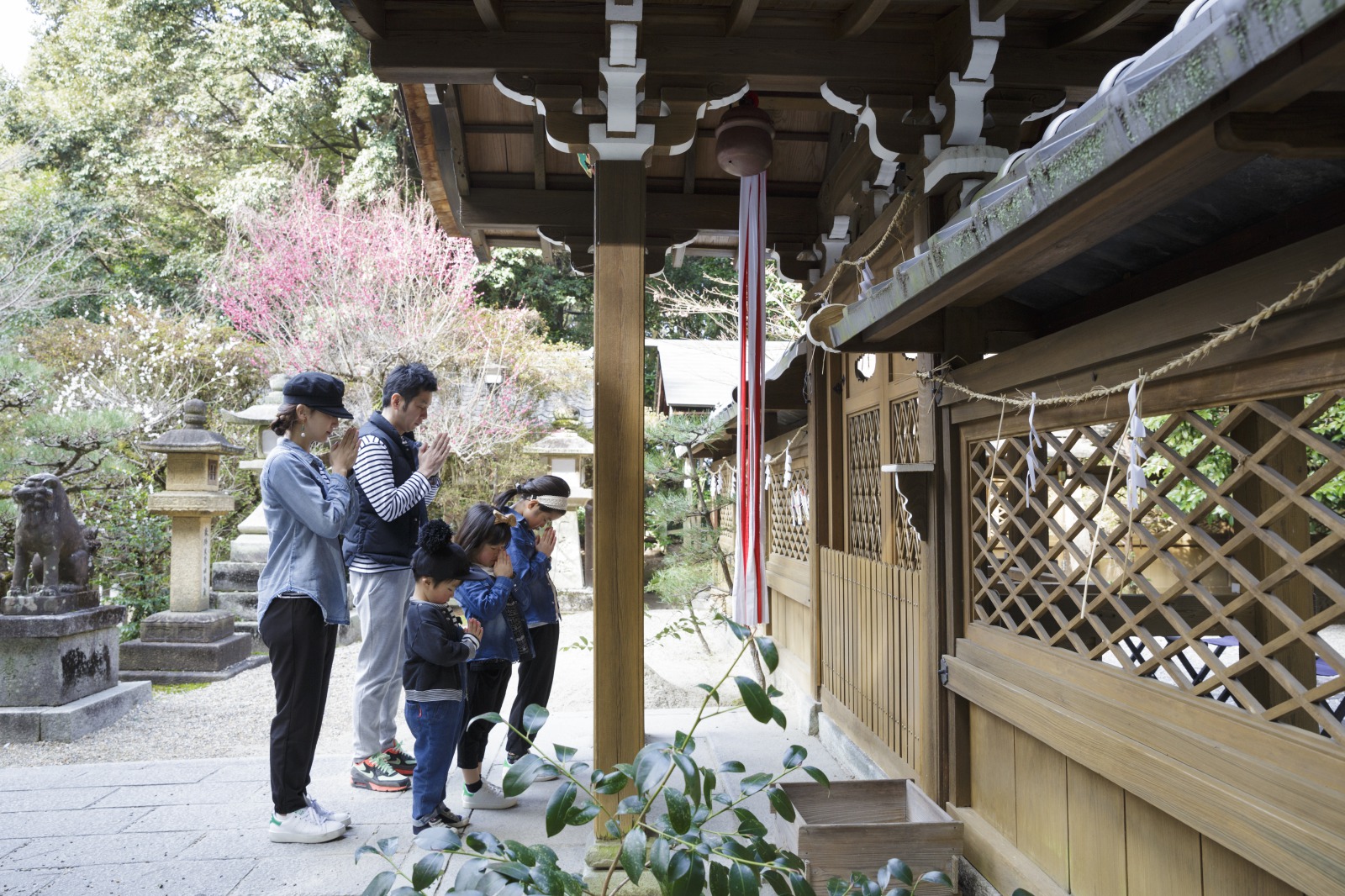 重要文化財の本殿へお参り