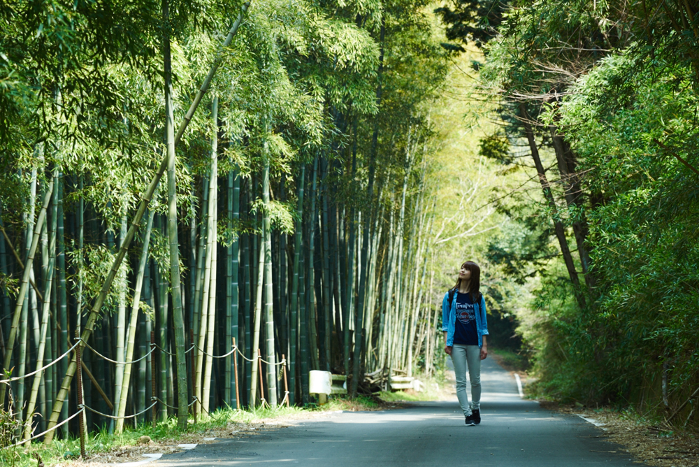 風に揺れる葉音が耳に心地いい